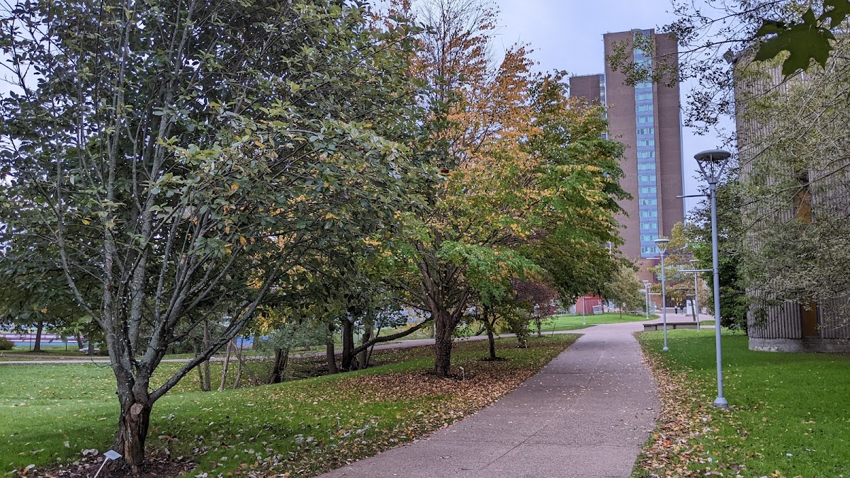 Saint Mary's University photo 1