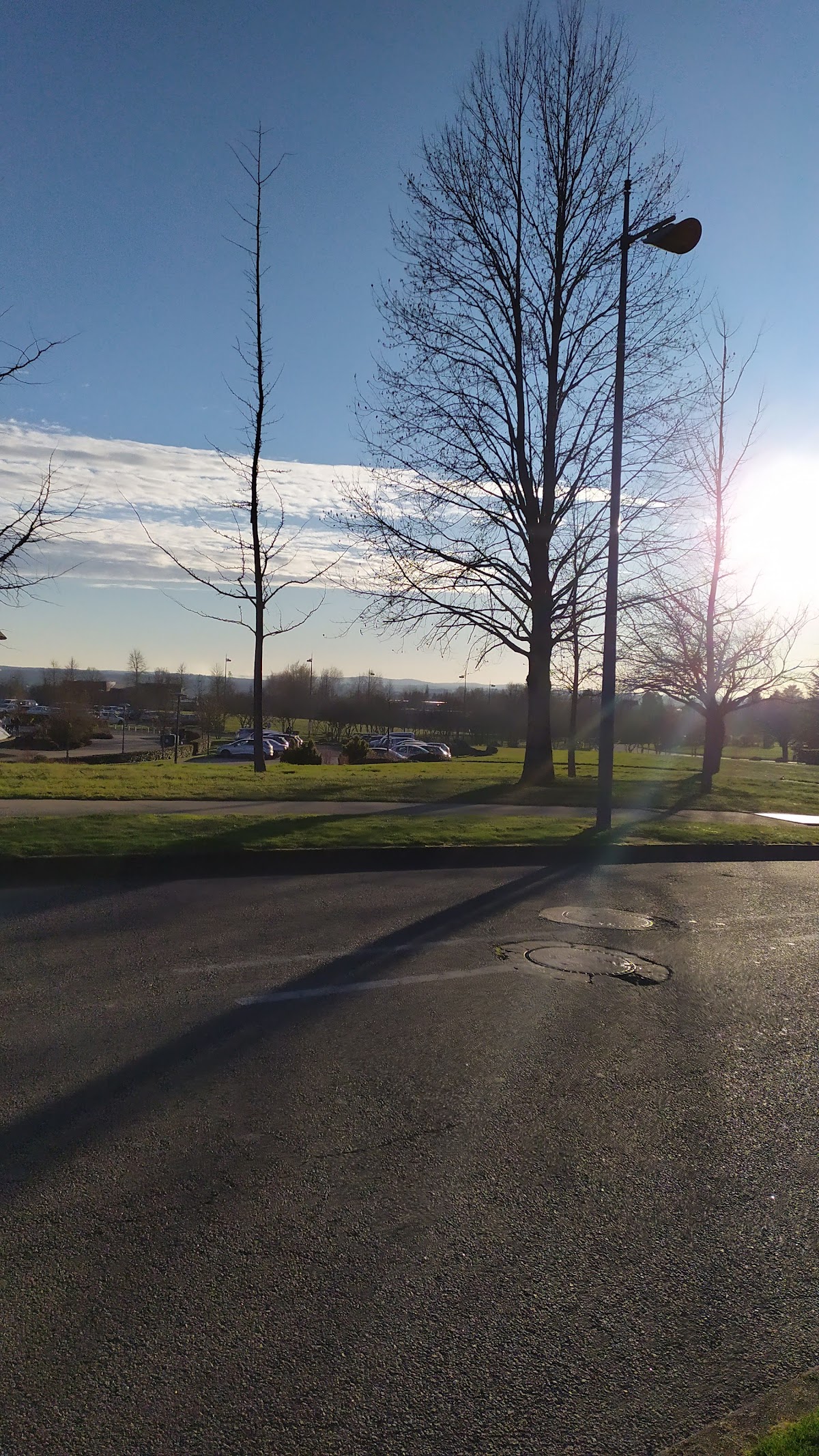 Université de Limoges photo 5