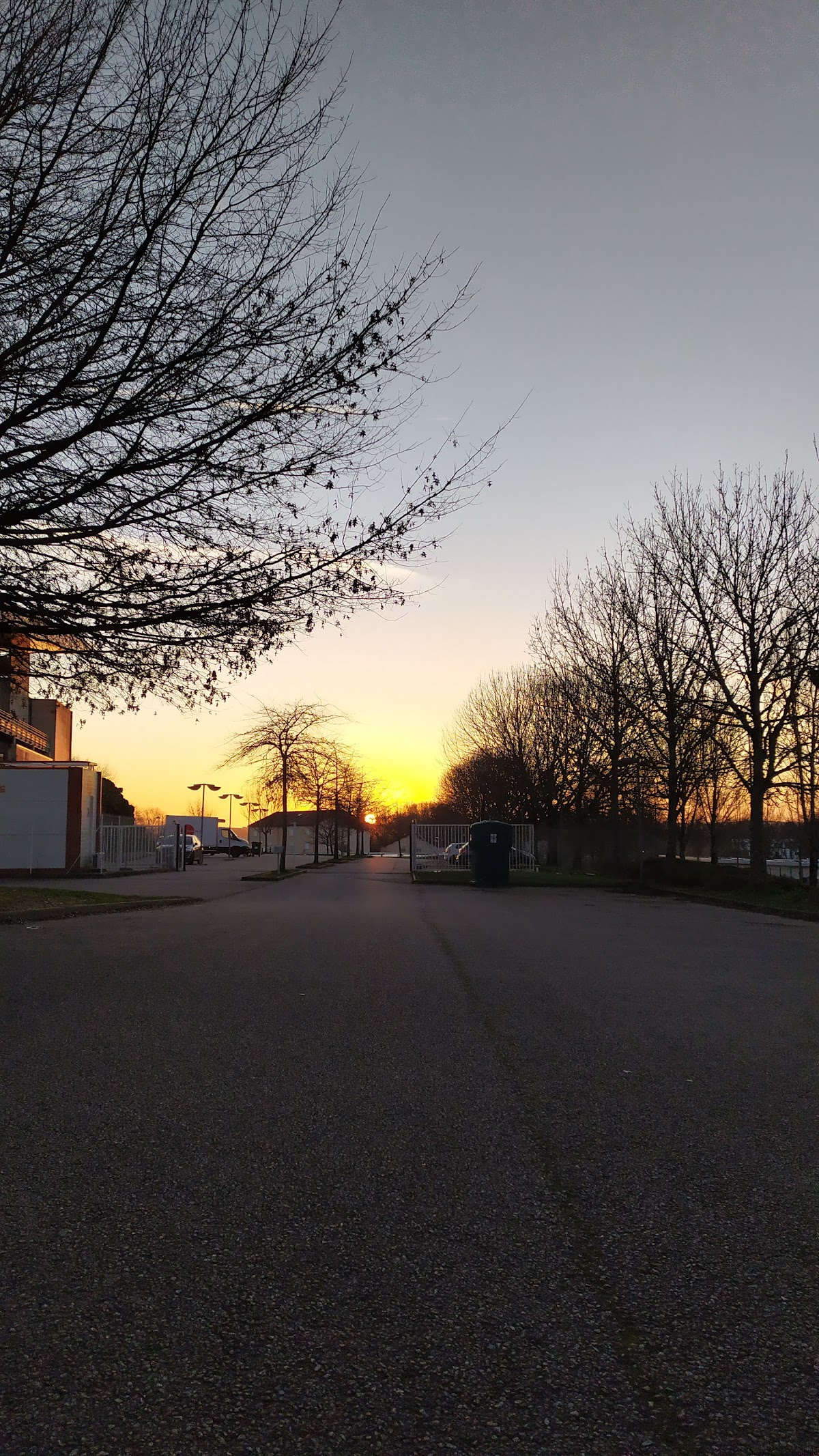 Université de Limoges photo 8