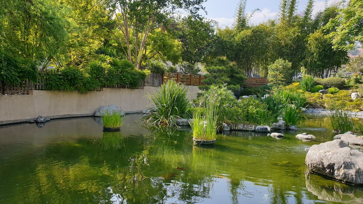 Cal Poly Pomona photo 2