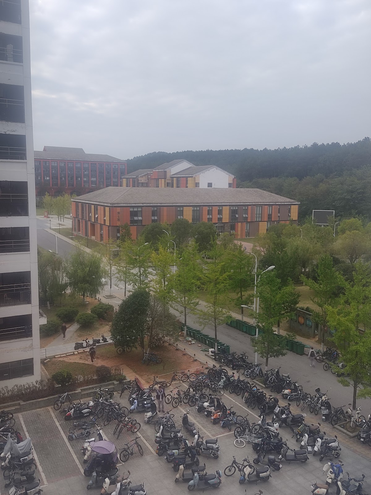 Guizhou University photo 2