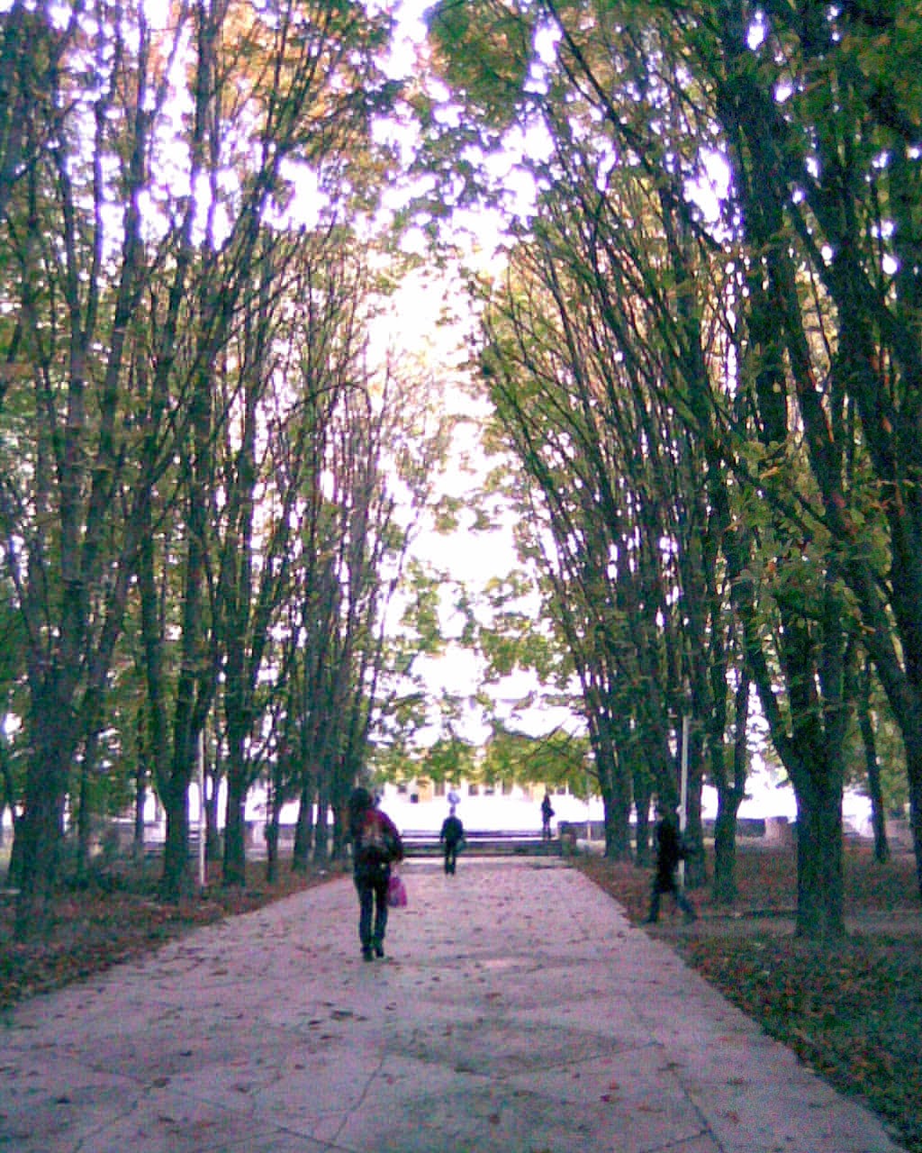 Rostov State Medical University photo 6