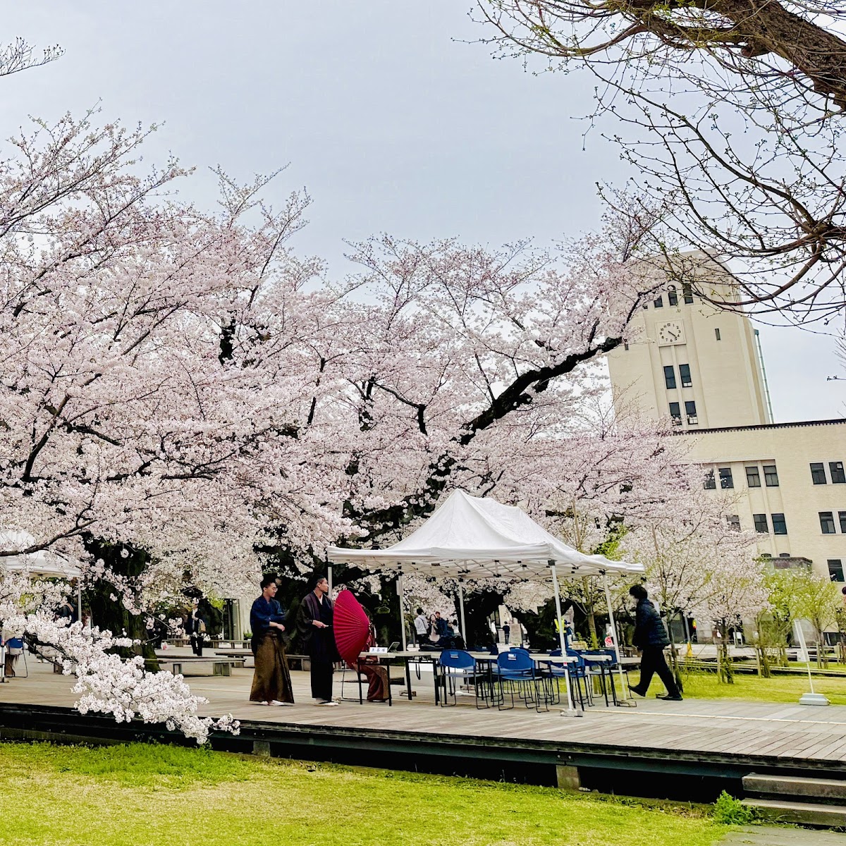 Tokyo Institute of Technology photo 8