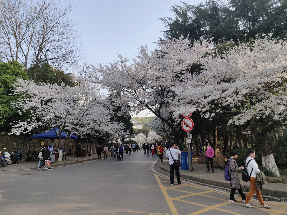 Wuhan University photo 5