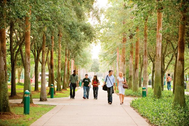 University of South Florida photo 2