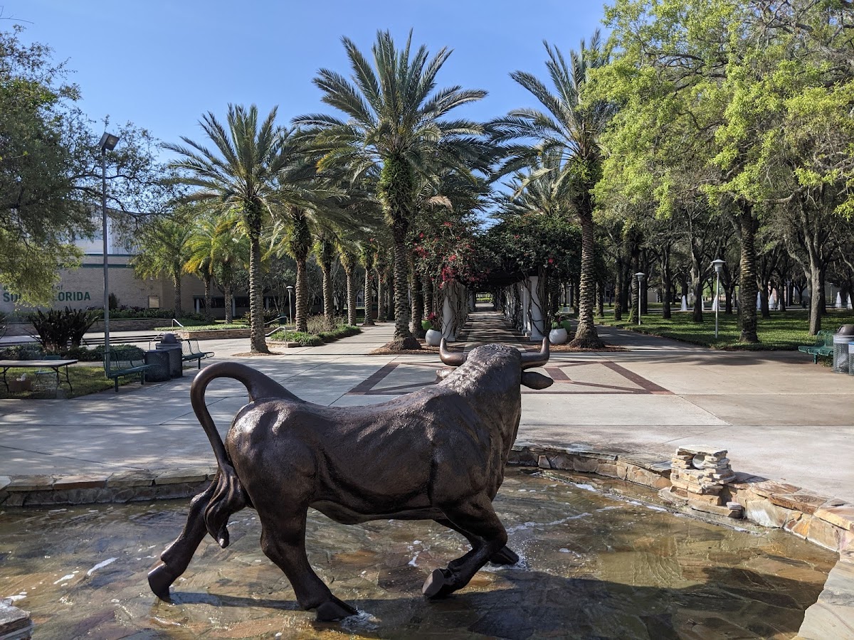 University of South Florida photo 3