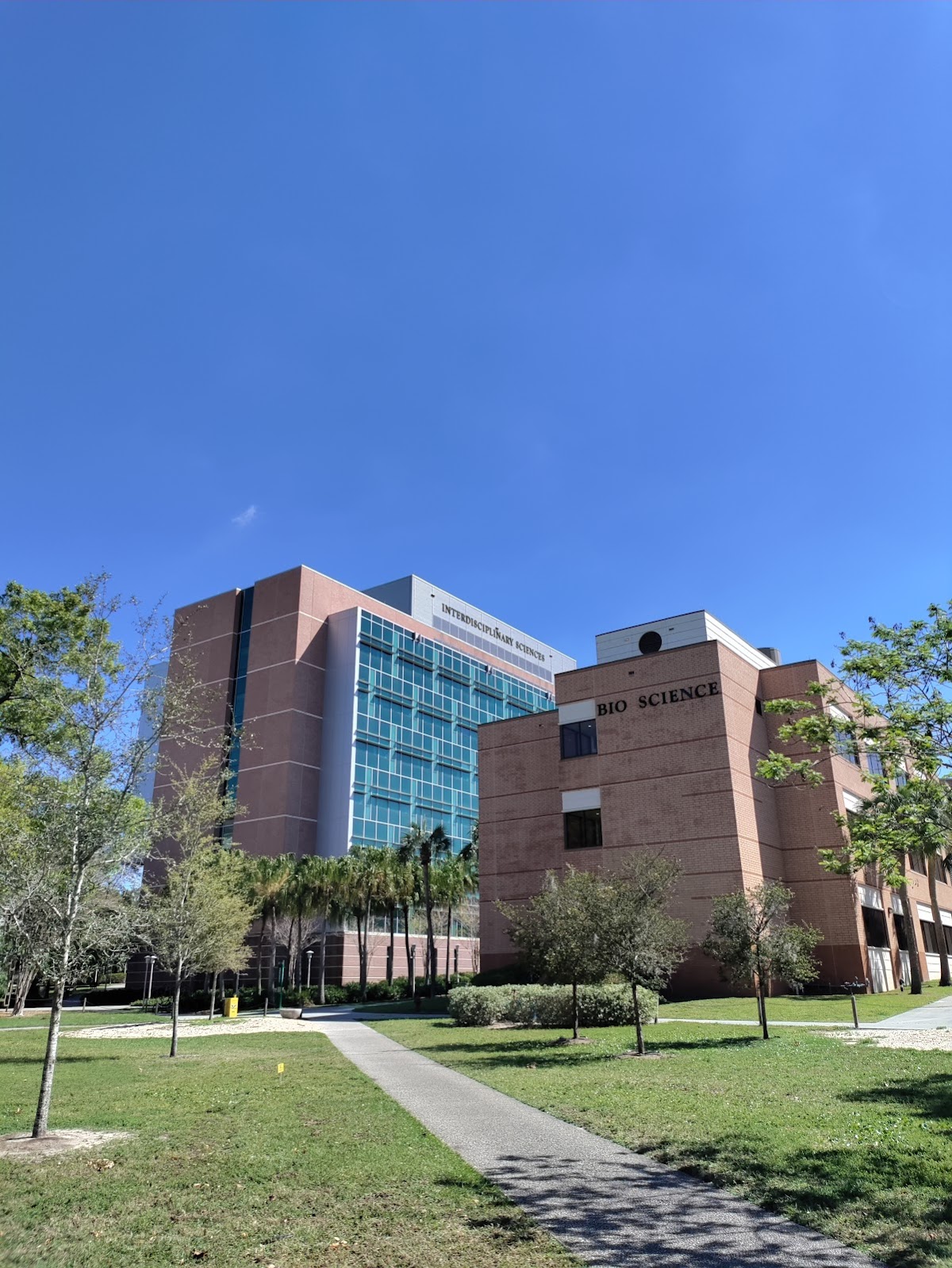 University of South Florida photo 6