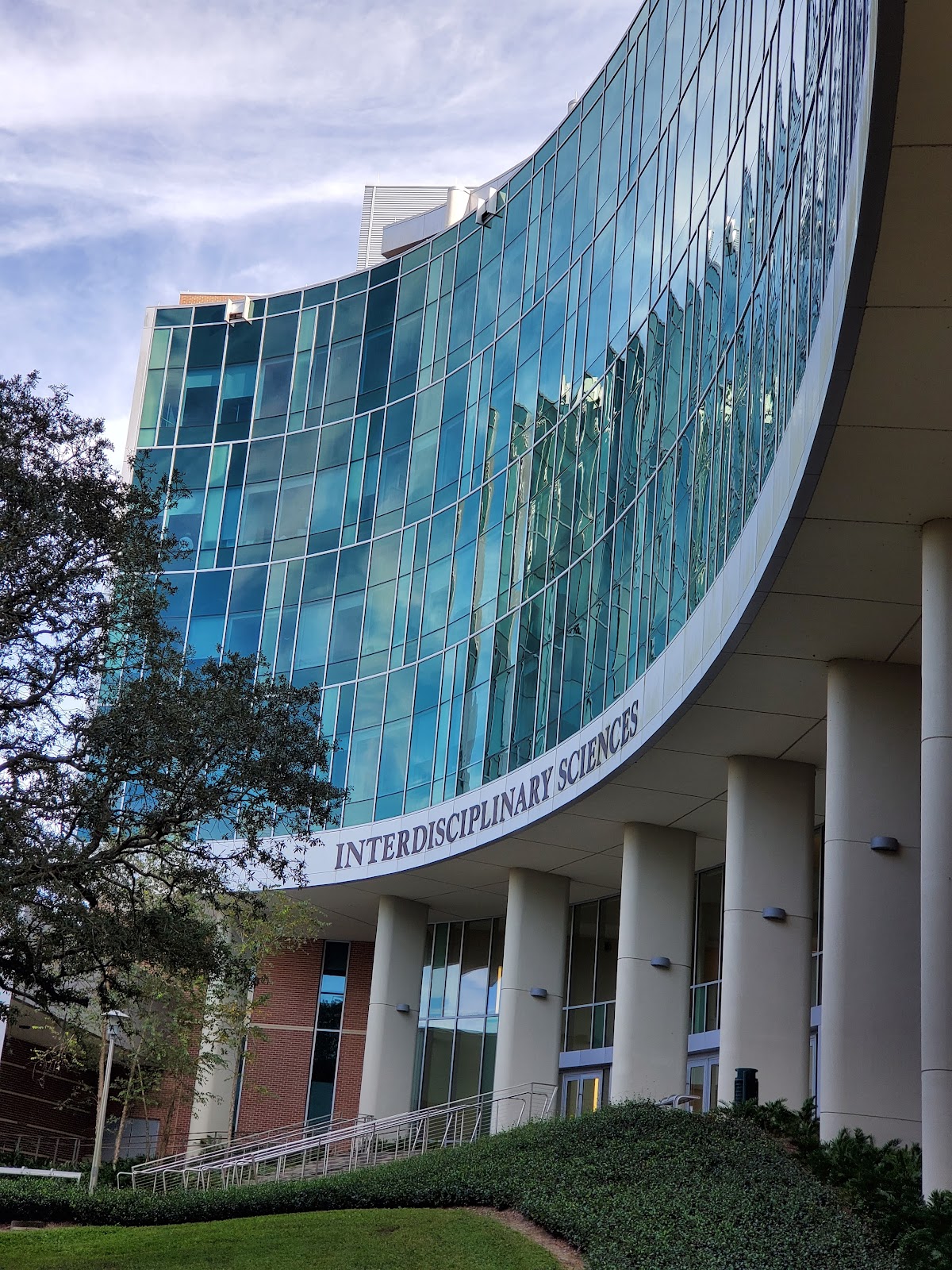 University of South Florida photo 7