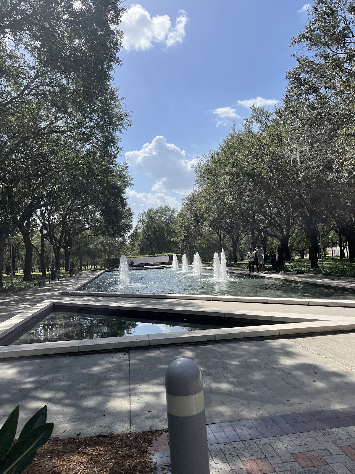 University of South Florida photo 8