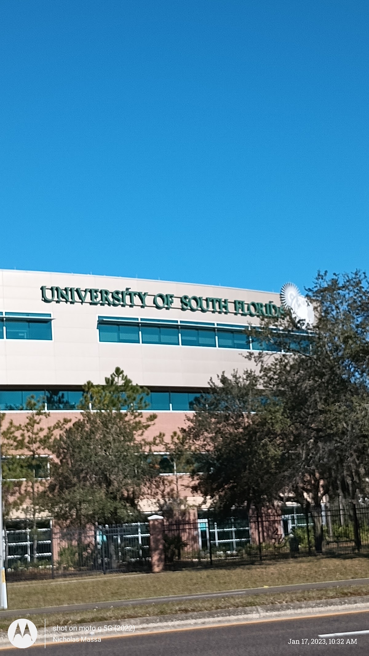 University of South Florida photo 9