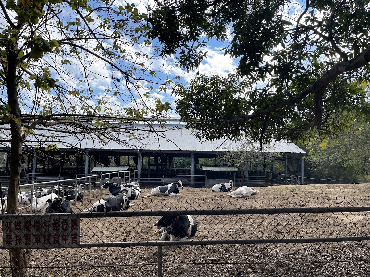 Tunghai University photo 6