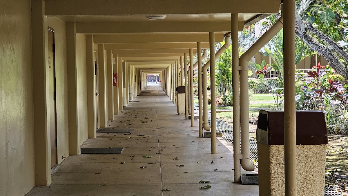Brigham Young University Hawaii photo 2