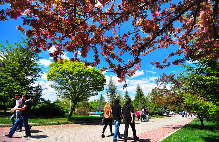 Başkent University photo 4