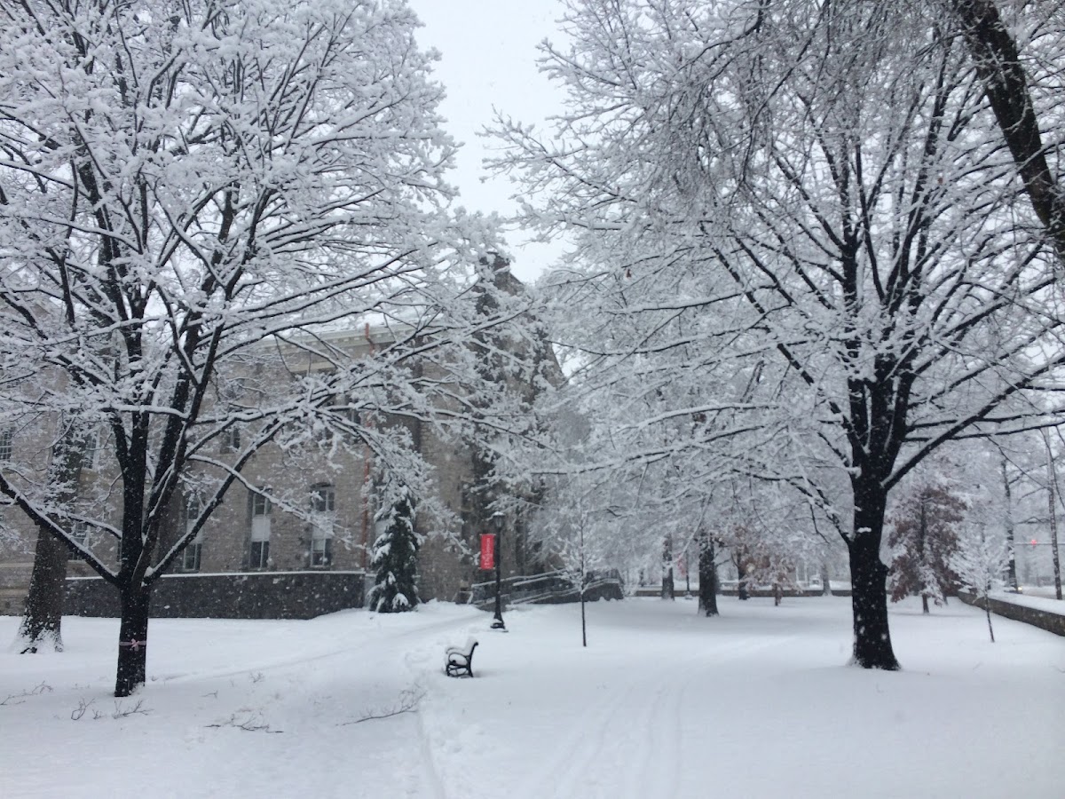 Dickinson College photo 7