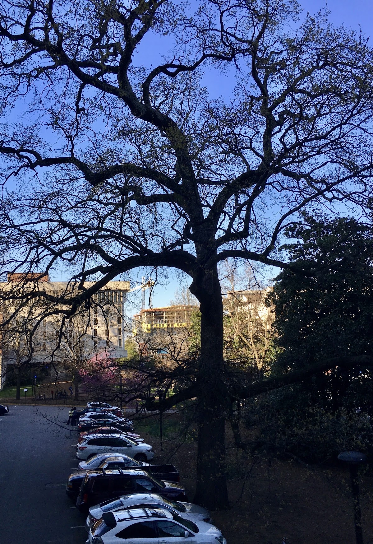 Regional University 3233 photo 8