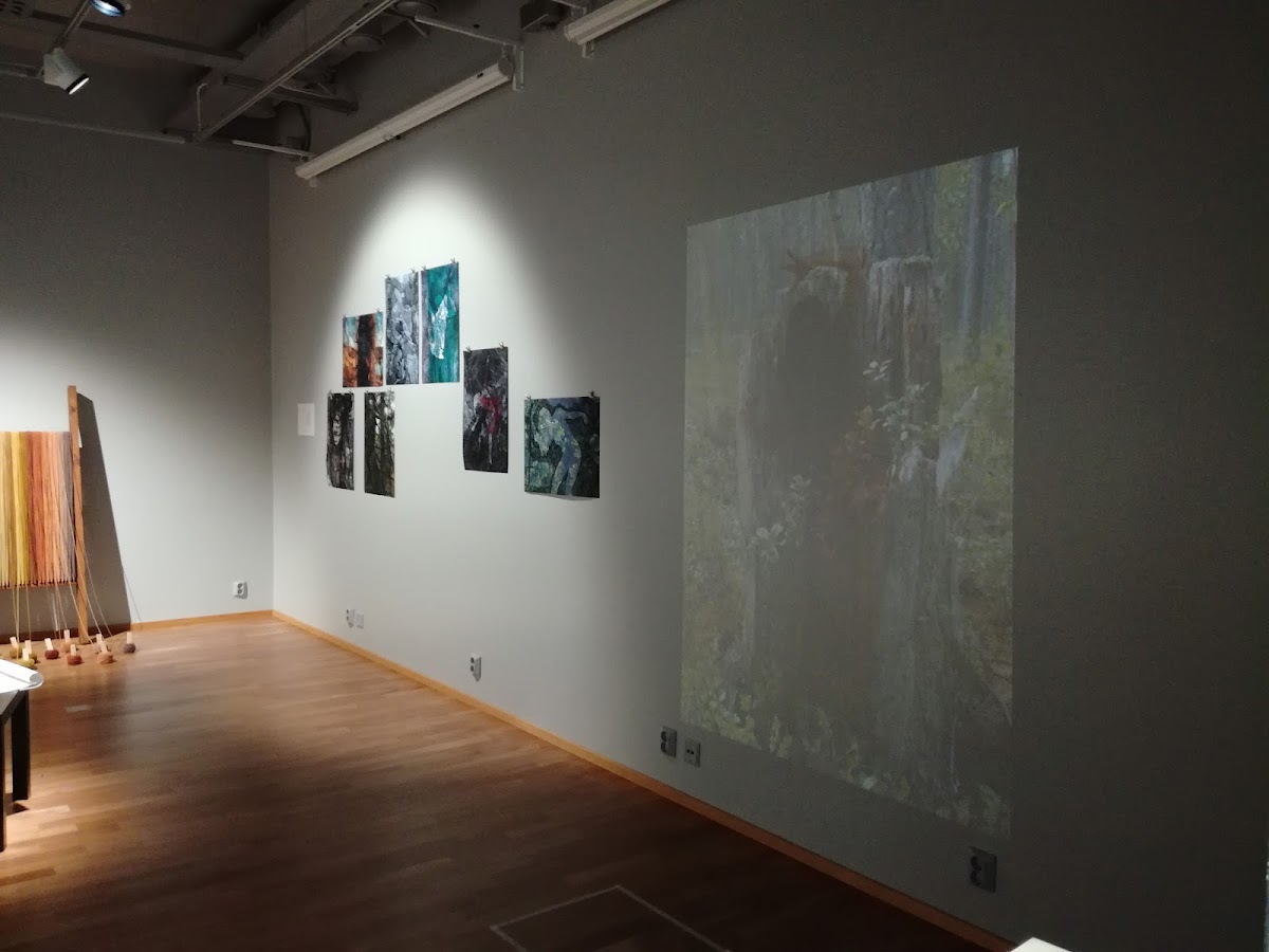 Lapland University photo 5