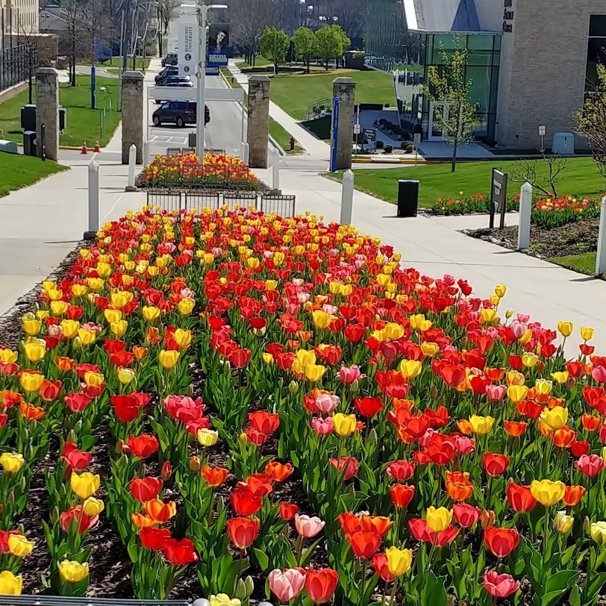 Rockhurst University photo 9