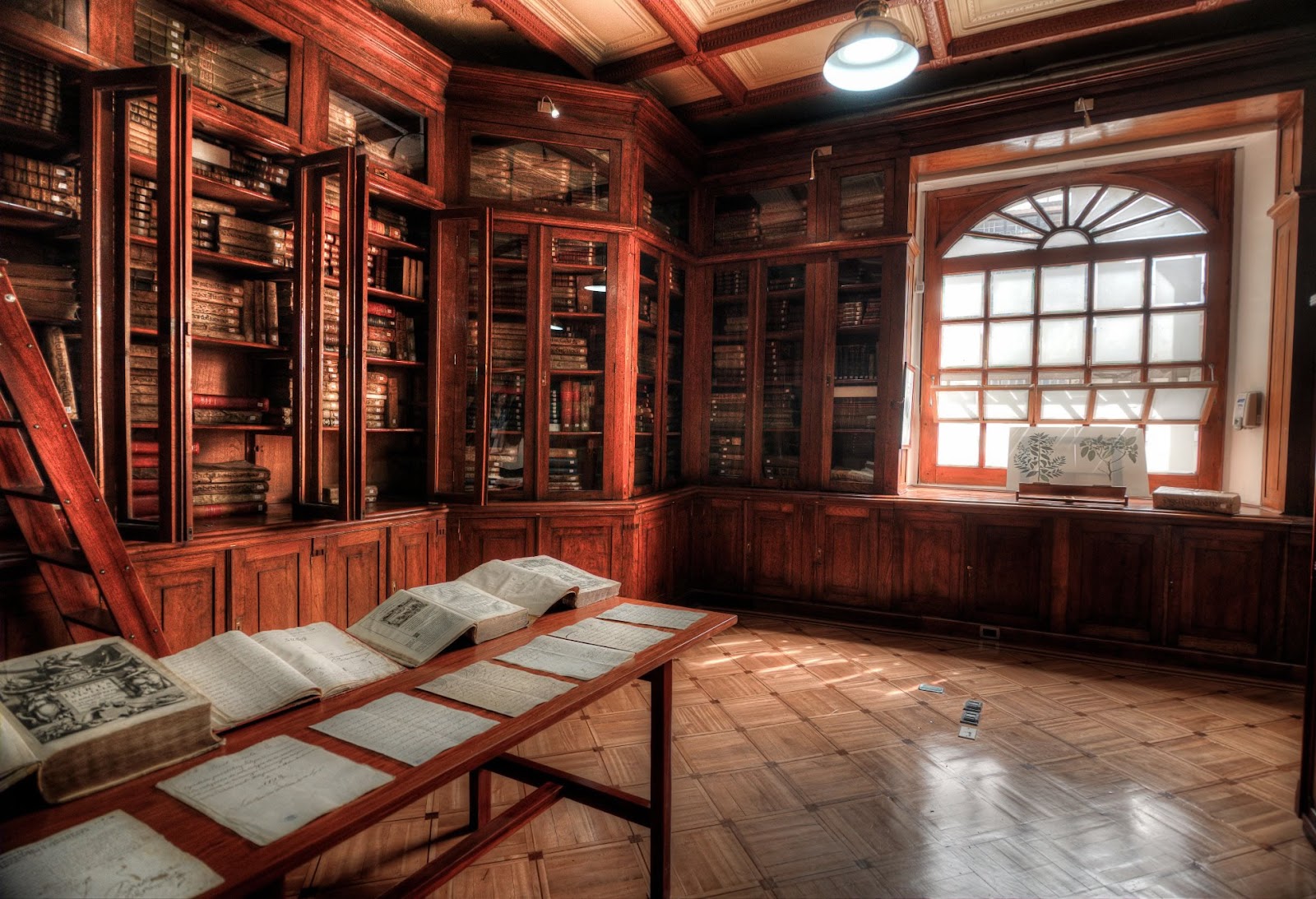 Universidad del Rosario