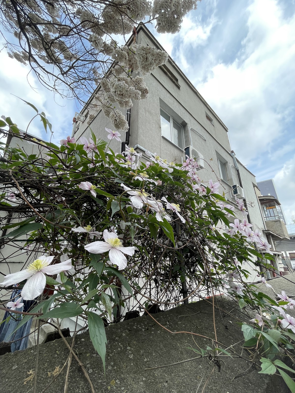 Hyperion University photo 9