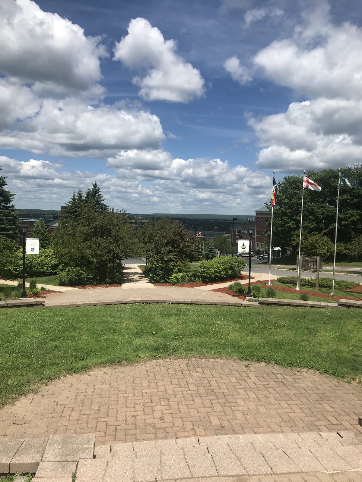 St. Thomas University photo 8