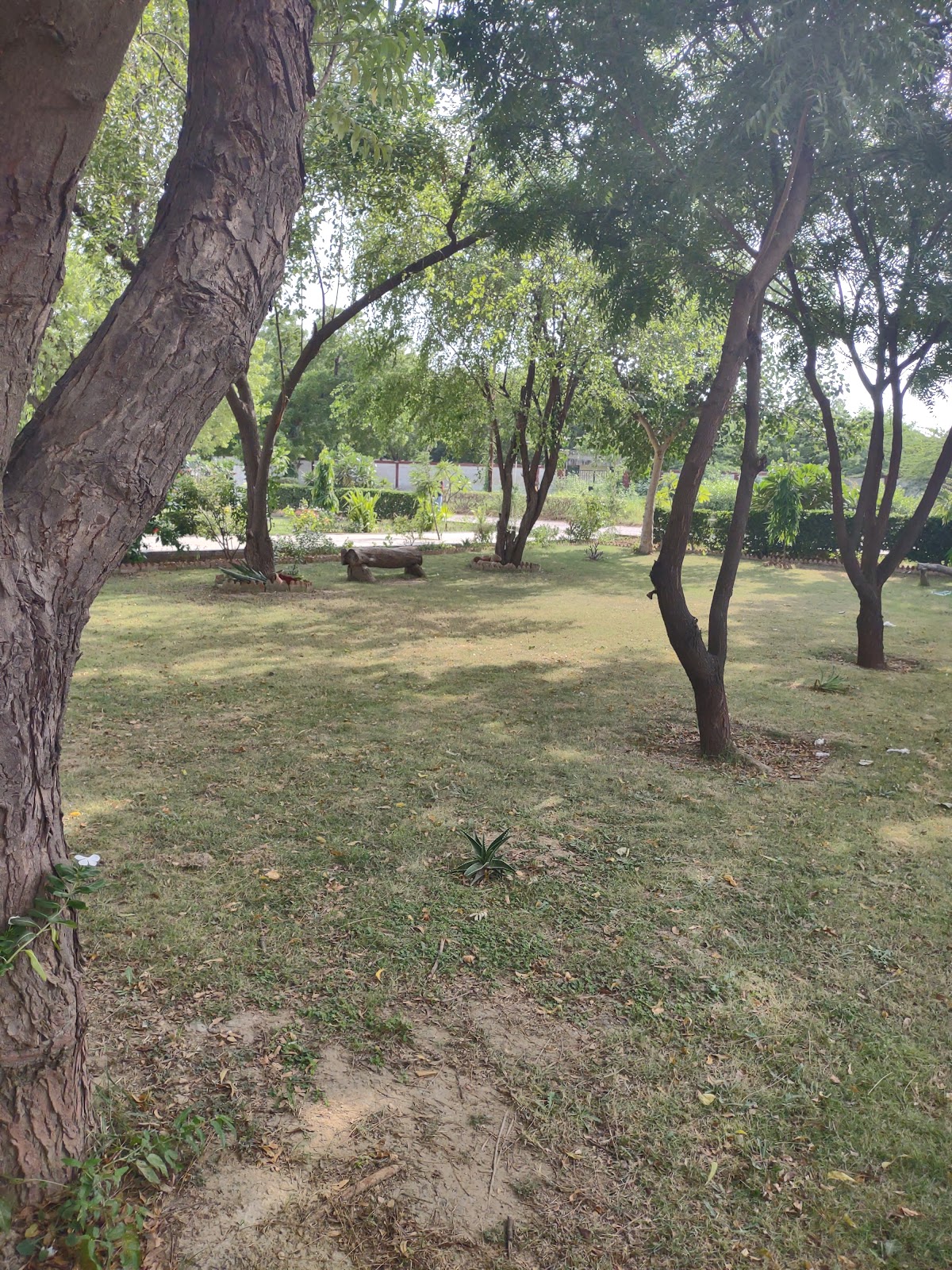 University of Karachi photo 9