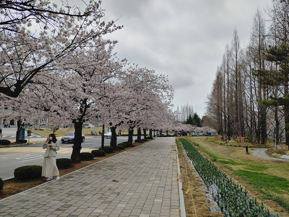 Mokpo National University photo 1