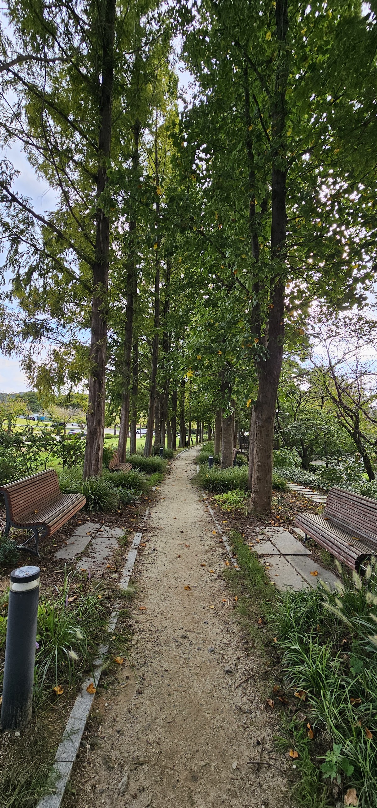 Mokpo National University photo 9