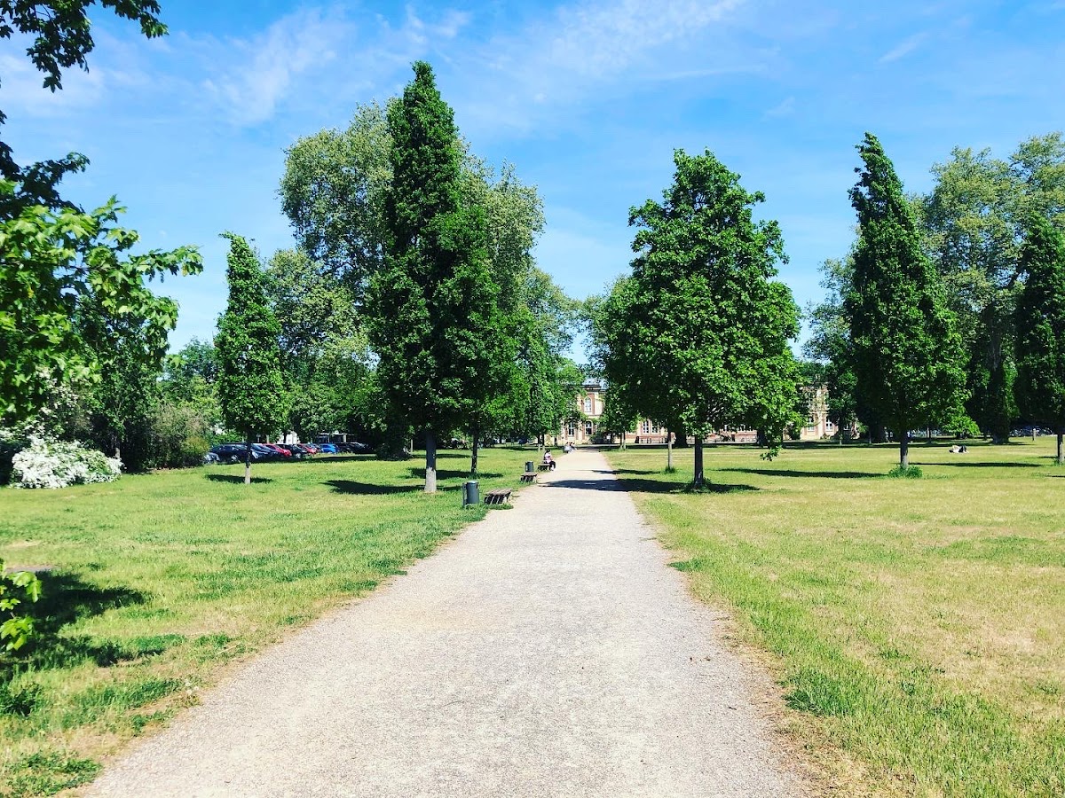 University of Potsdam photo 5