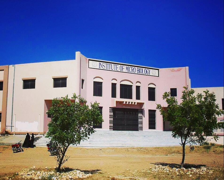 University of Sindh photo 7