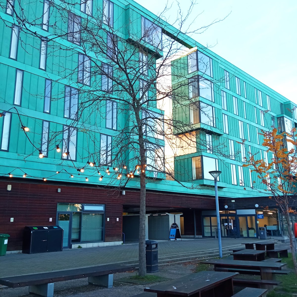 Queen Mary University of London photo 7
