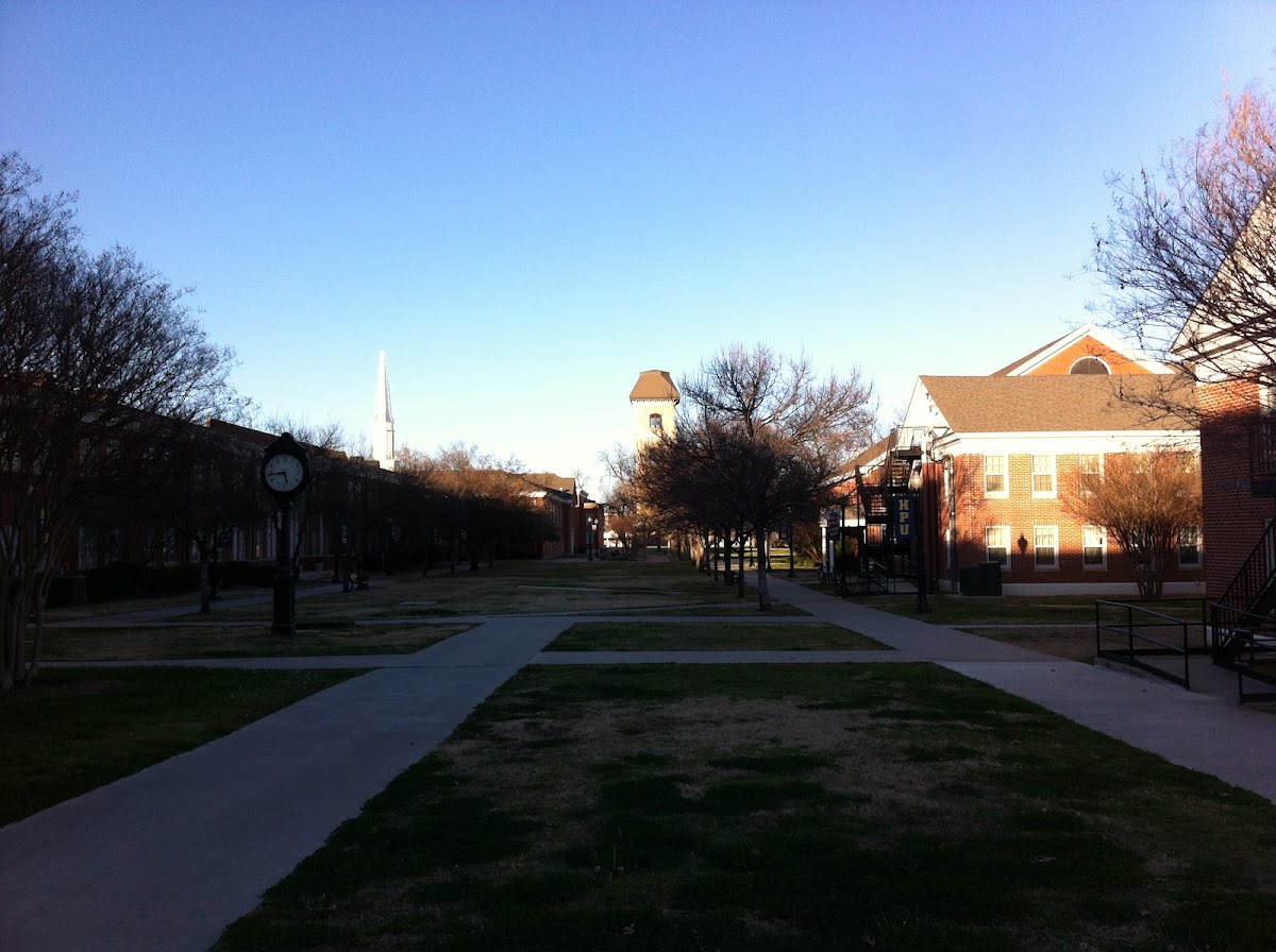 Howard Payne photo 5