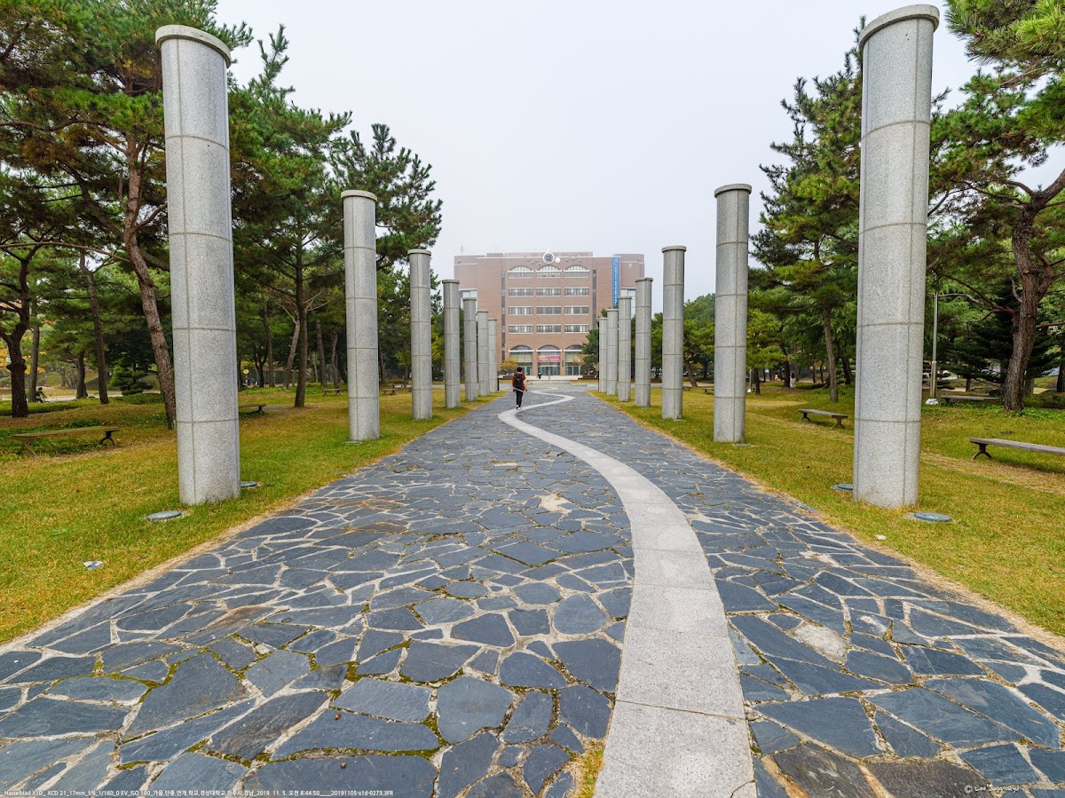 Gyeongsang National University photo 3