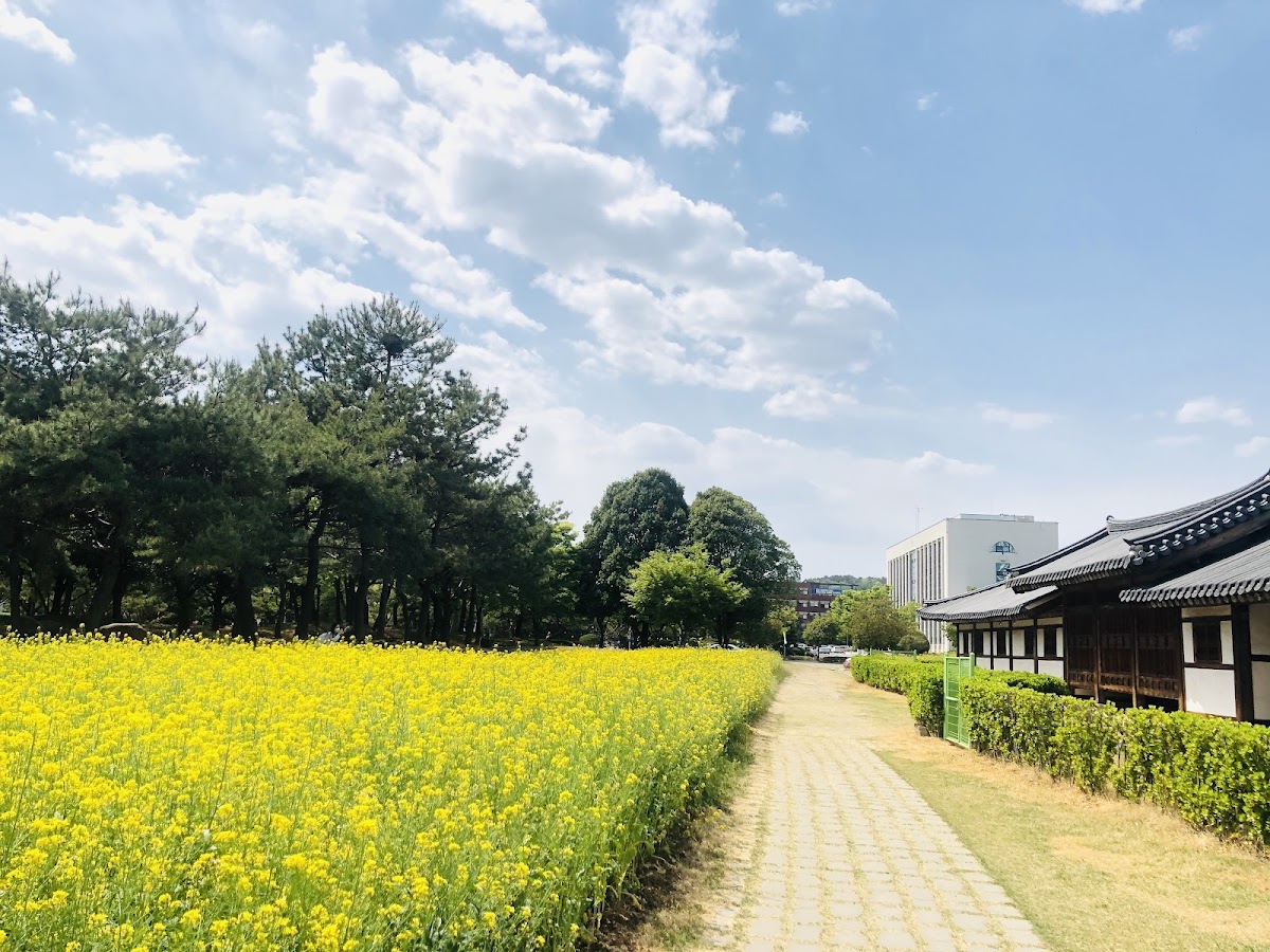 Gyeongsang National University photo 6