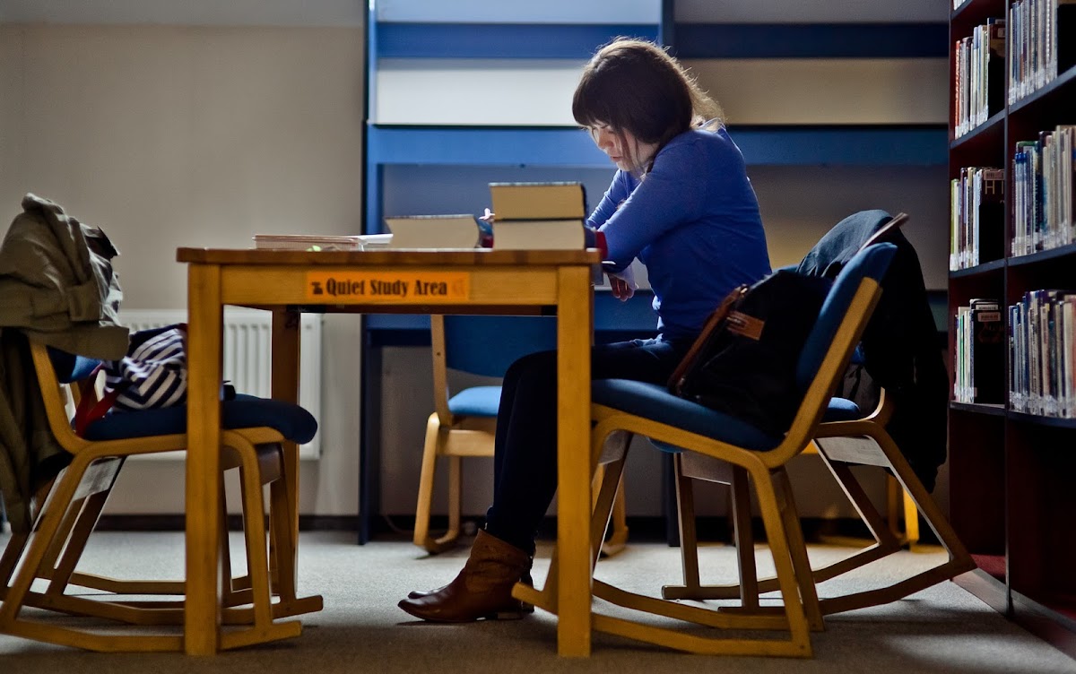 LCC International University photo 1