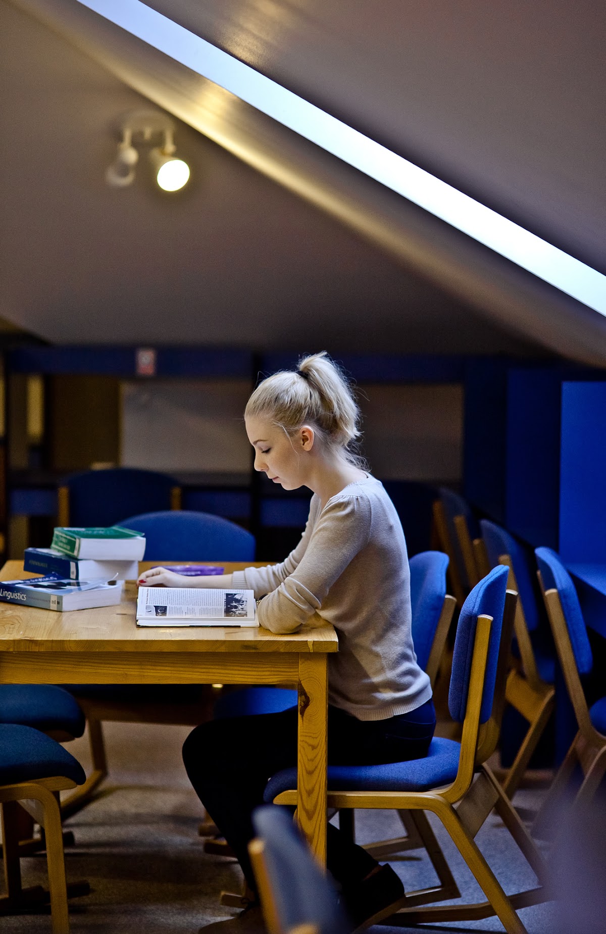 LCC International University photo 9