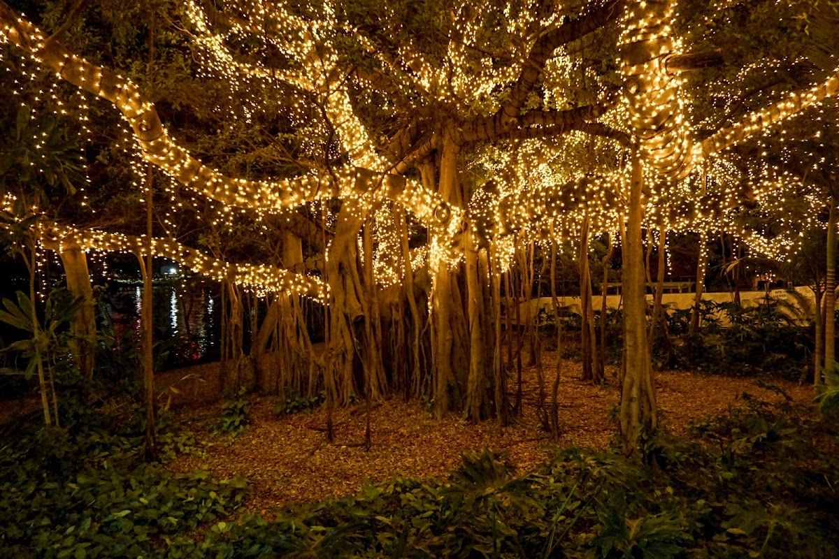 Queensland University of Technology photo 2