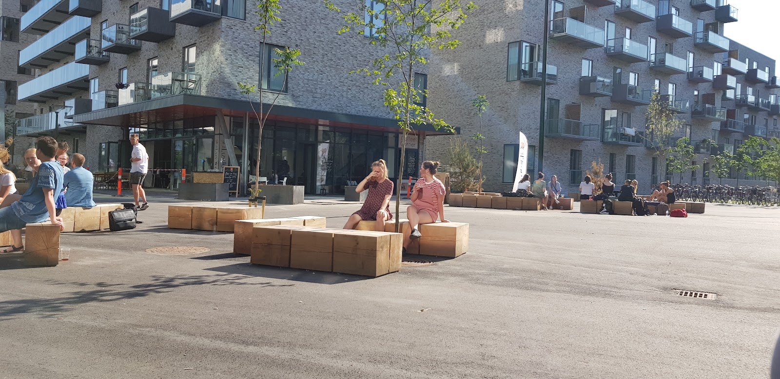 VIA University College