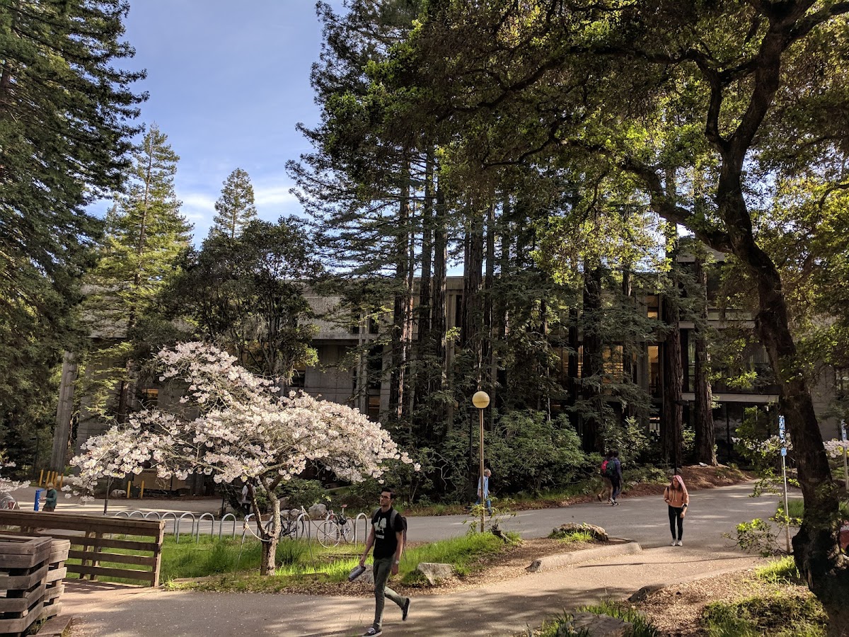 UC Santa Cruz photo 4
