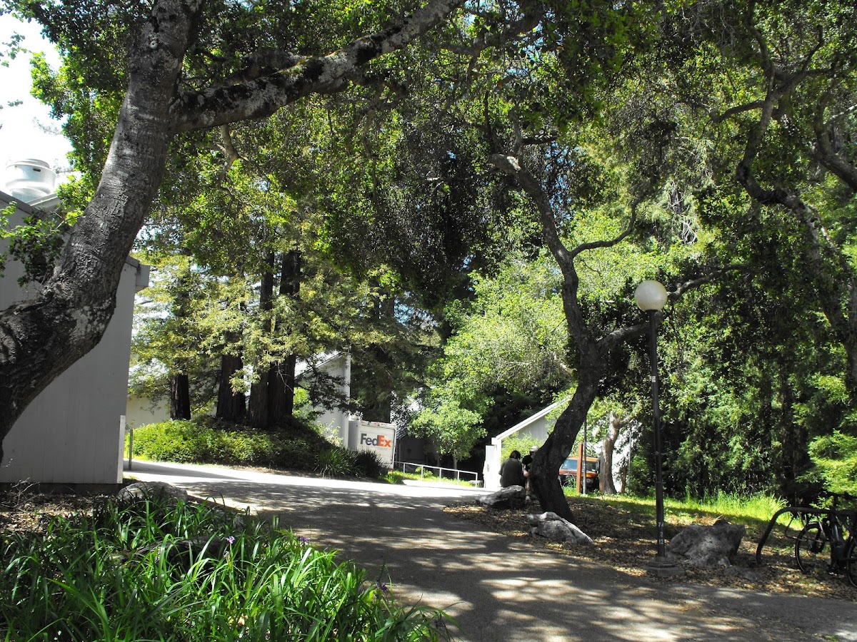 UC Santa Cruz photo 5