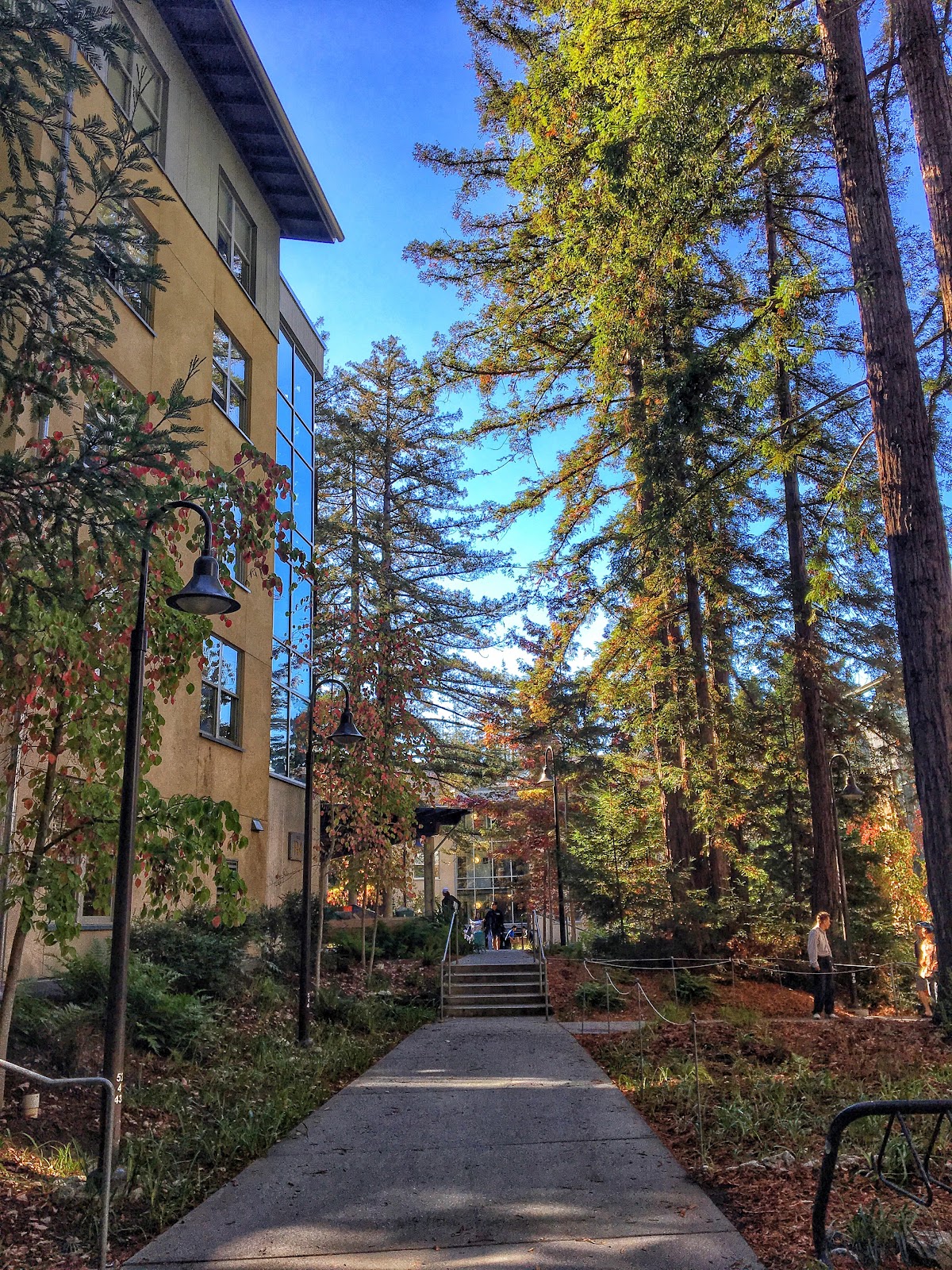 UC Santa Cruz photo 9