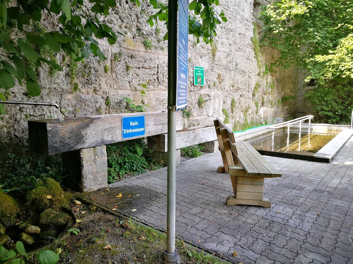 Seeburg Castle University photo 2