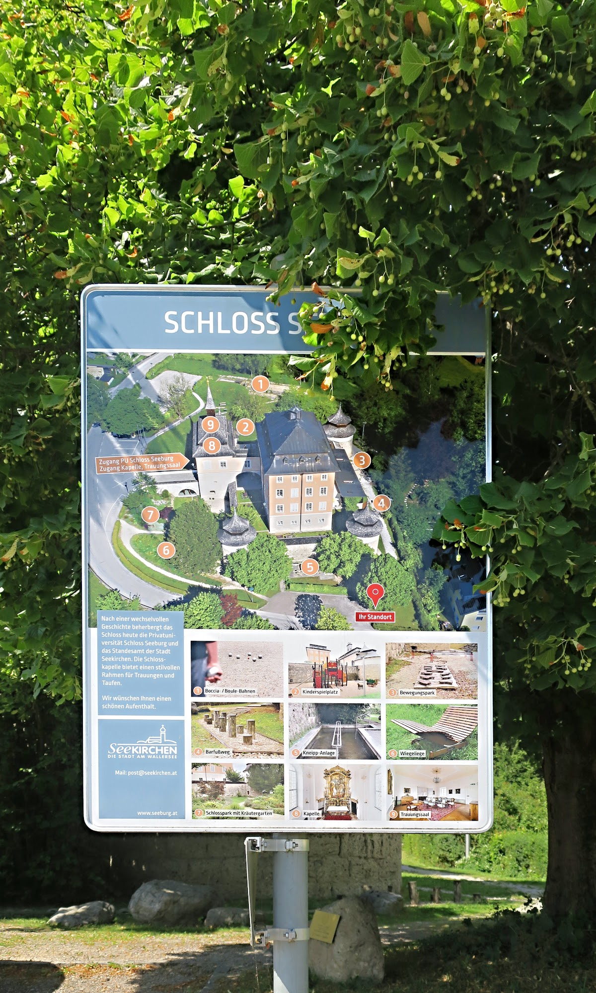 Seeburg Castle University photo 9