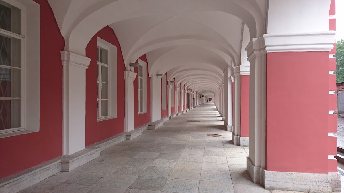 Saint Petersburg State University photo 1