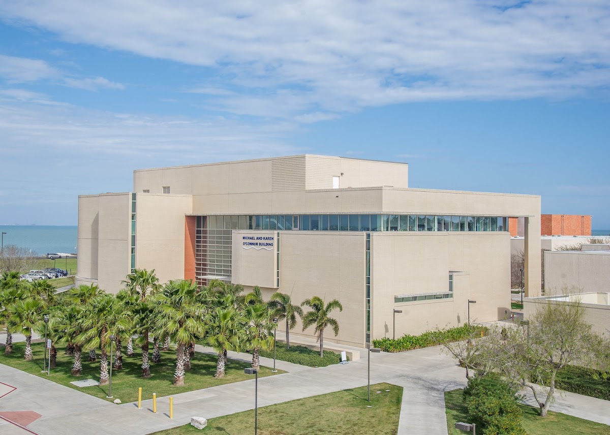 Texas A&M Corpus Christi photo 4