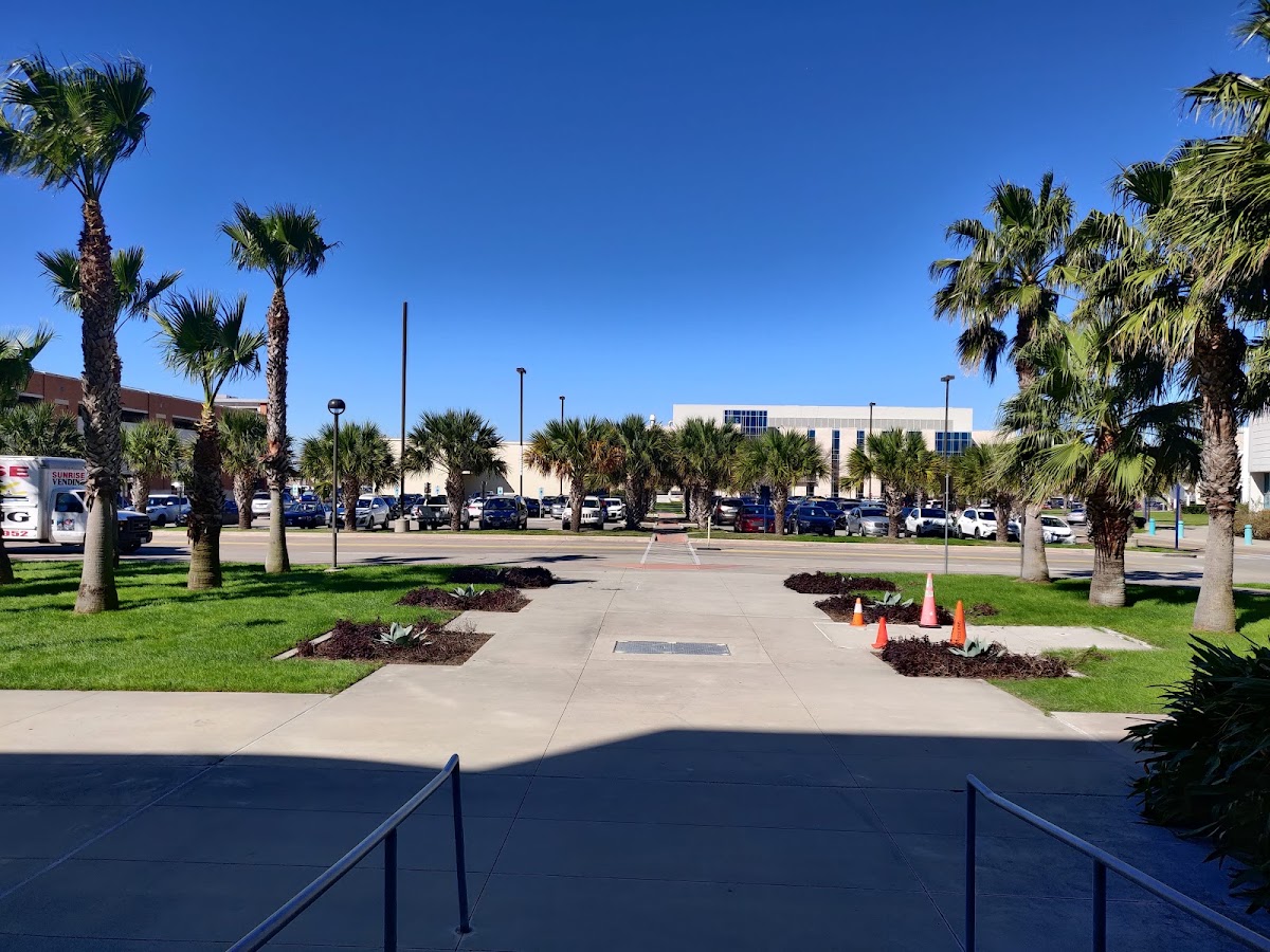 Texas A&M Corpus Christi photo 6