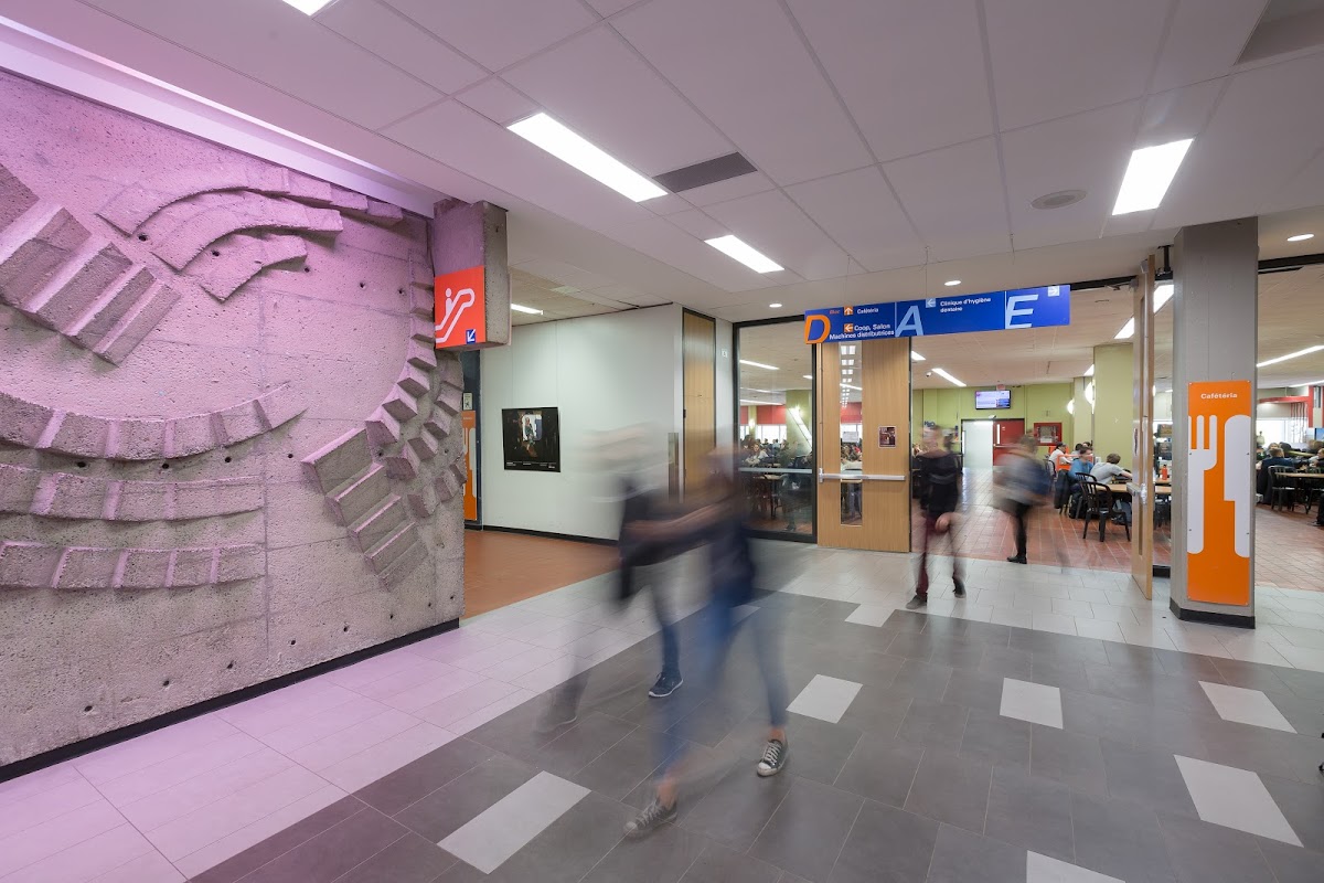 Collège de Maisonneuve photo 3