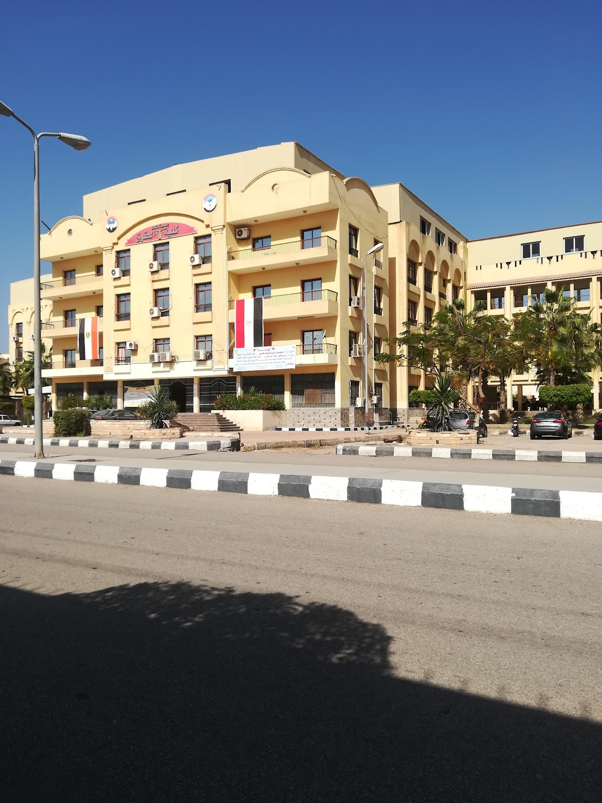 Tanta University photo 4