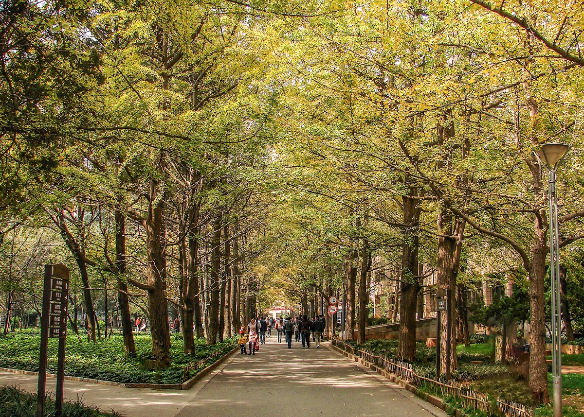 Yunnan University photo 4