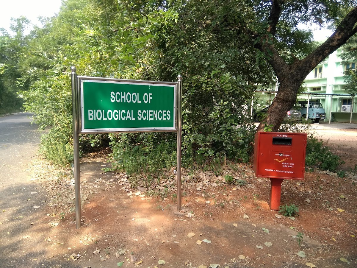 Madurai Kamaraj University photo 5
