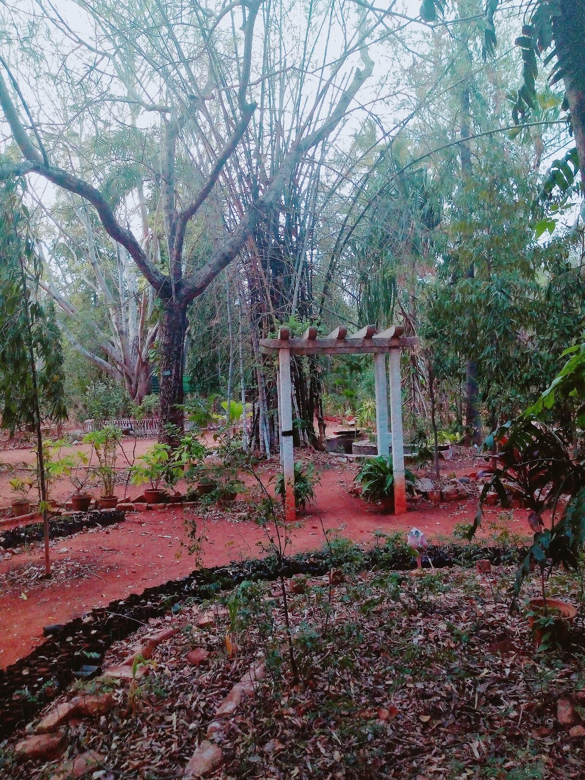Madurai Kamaraj University photo 8
